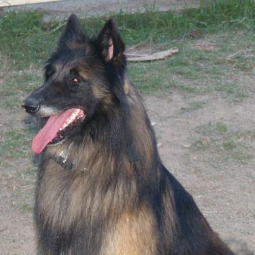 Hudson