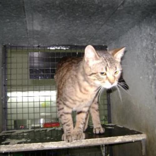 No photo for Imp # K41061