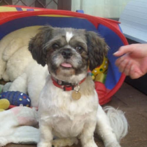 Audrey