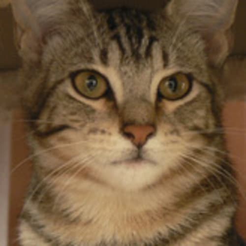 No photo for Michael