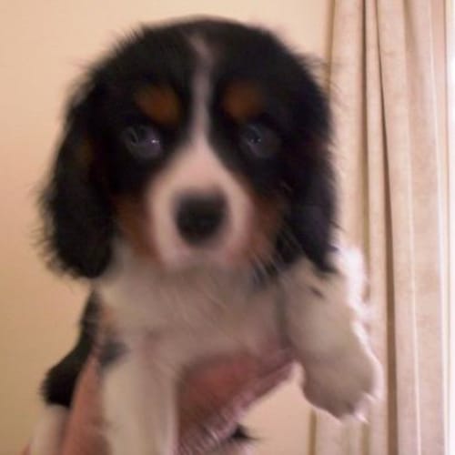 No photo for Edward Deposit Taken