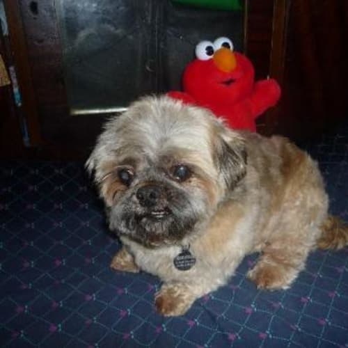 No photo for Sookie