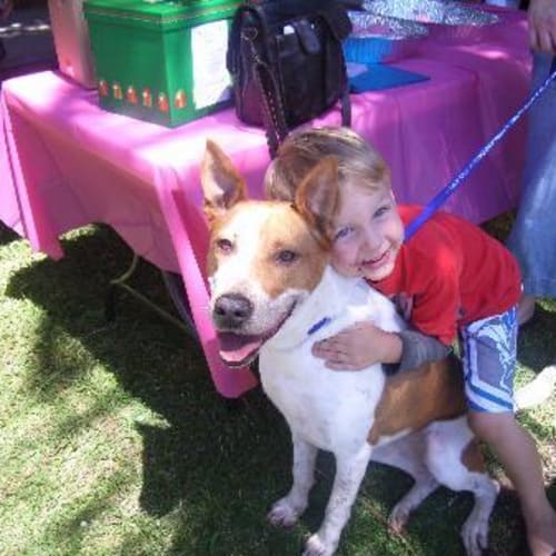No photo for Cha Cha   Adopted!