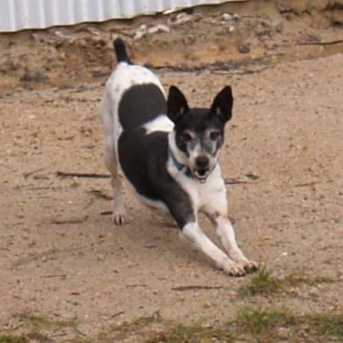 Billy