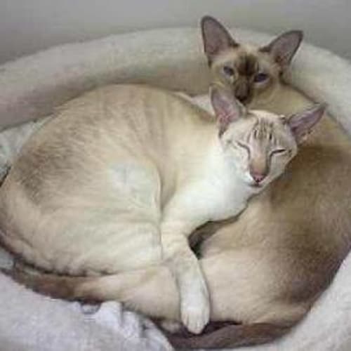 Molly & Cindy
