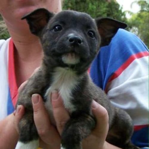 No photo for Paris On Hold