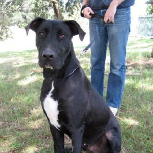 No photo for Razz A Dazz