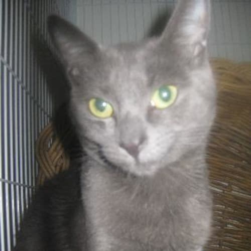 No photo for Caroline