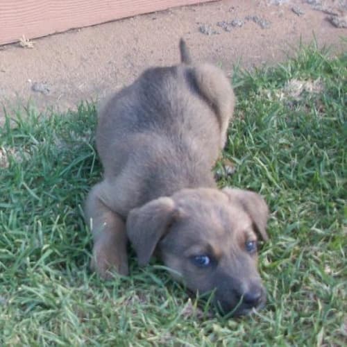 No photo for Charlie