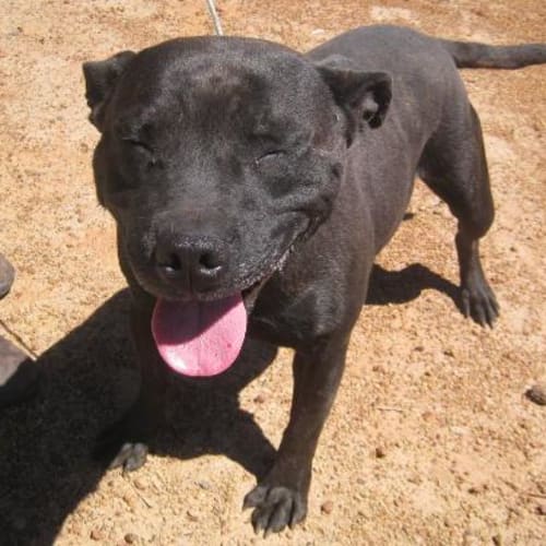 No photo for Princess