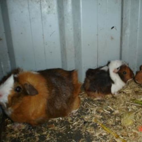 No photo for Patsy & Bubs