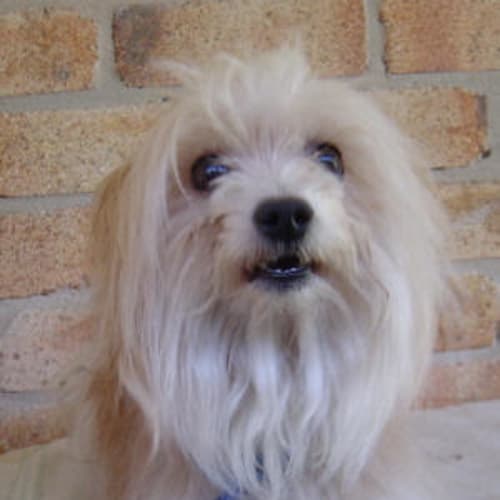 No photo for Trinity