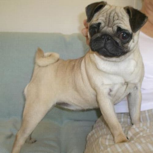 No photo for Lottie