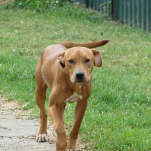 ** On Trial **  Buster