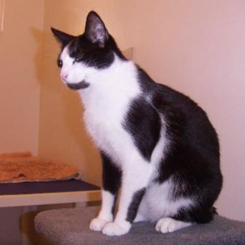 No photo for Jimmy