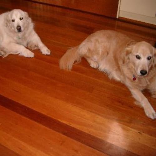 No photo for Winnie & Nellie