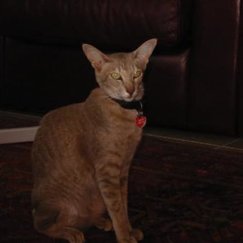 No photo for Mimi