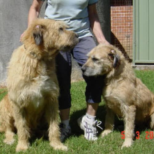 Delilah and Samson