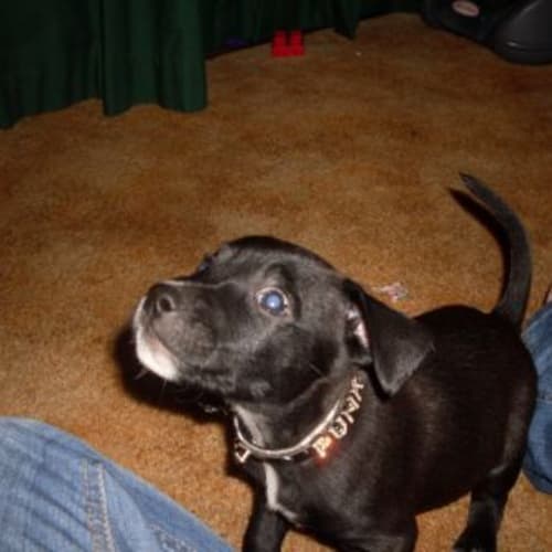 No photo for Sonny Bill