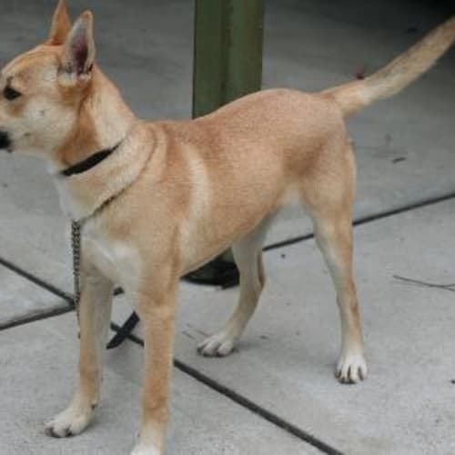 No photo for Impound 2846