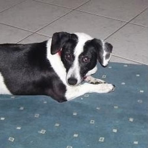 No photo for *On Trial* Bea