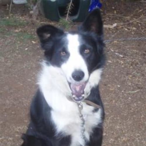 No photo for Ruby On Hold