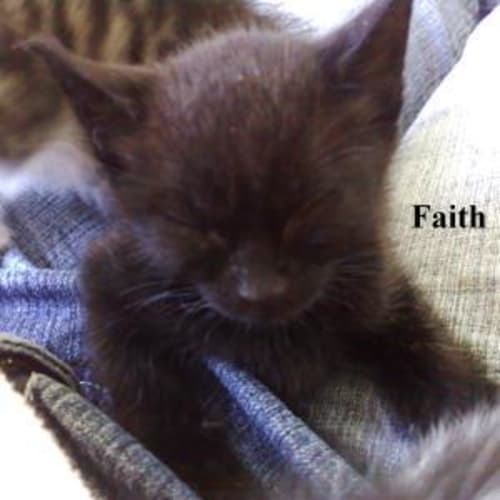 Faith