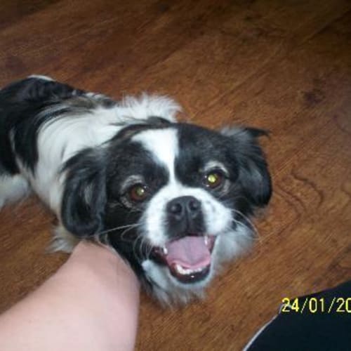 No photo for ***On Trial***    Missy