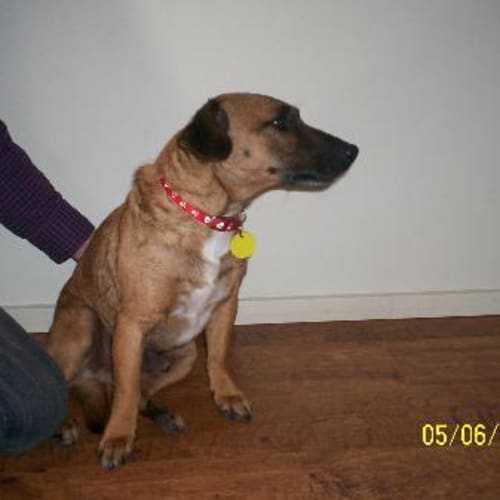 No photo for On Trial **Bruce