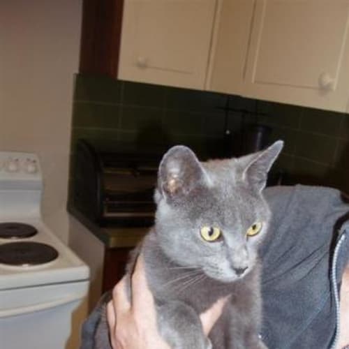 No photo for Tiffany