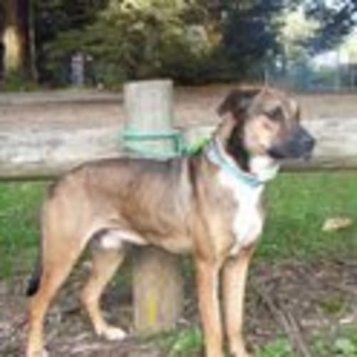 No photo for Nick (On Hold)