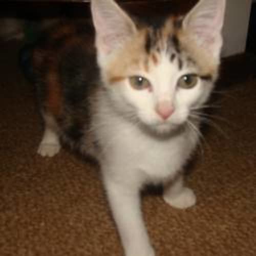 No photo for Charlotte