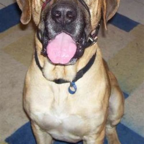 No photo for *On Trial* Duke