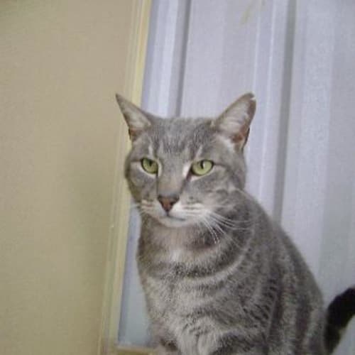 No photo for Tigger