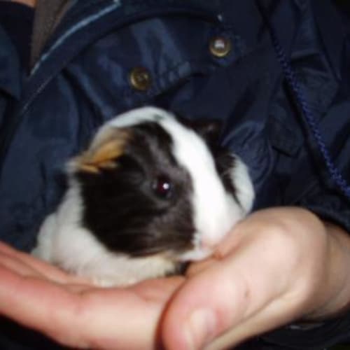 No photo for Walter