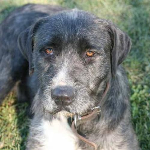 No photo for Lady   Im On Trial In A New Home