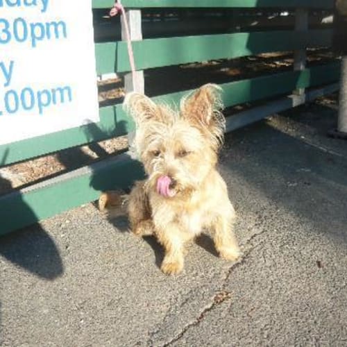 No photo for Imp # K45512