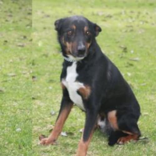 No photo for Bonnie & Clyde