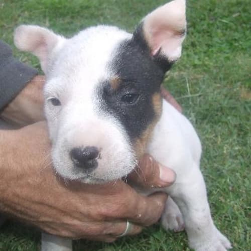 No photo for Mia On Trial