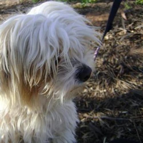 No photo for Carolyn