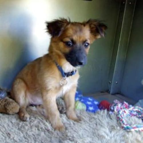 No photo for Ella Rose