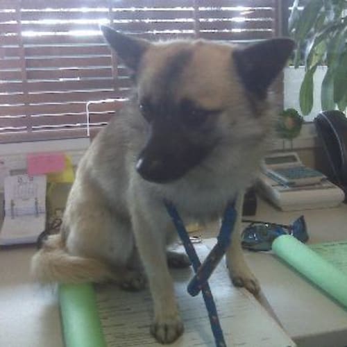 No photo for Imp # K45569