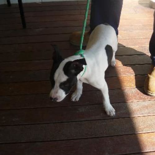 No photo for Imp # K45558