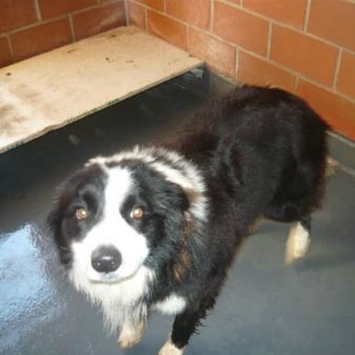 No photo for Imp # K45568