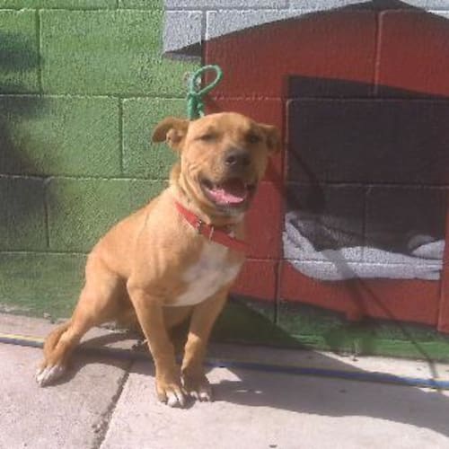 No photo for Imp # K45156