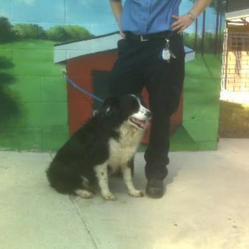 No photo for Imp # K46807