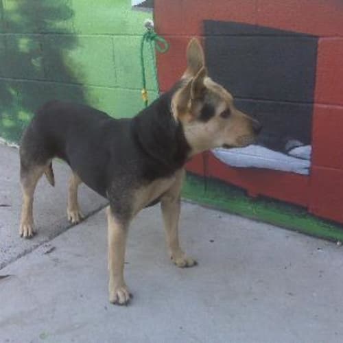 No photo for Imp # K43094