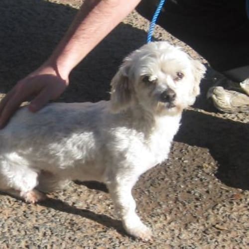 No photo for Blanche