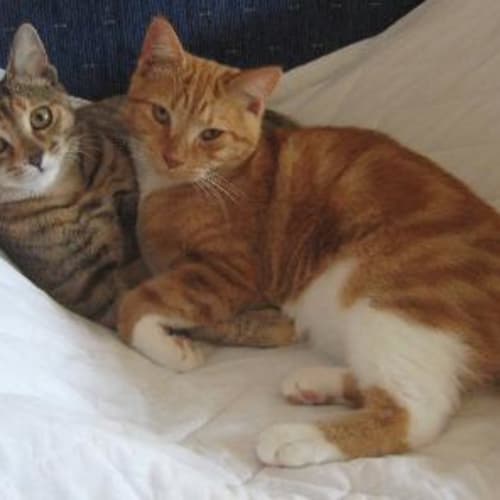 No photo for Mykayala