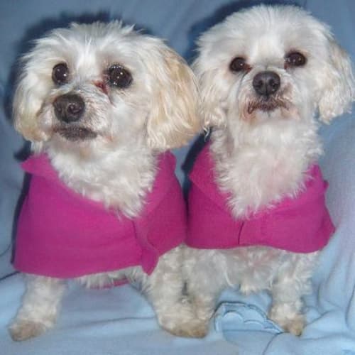 No photo for Crystal And Jade